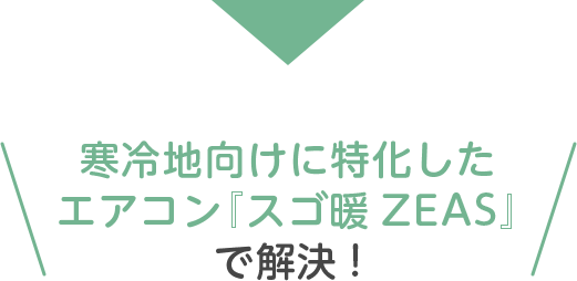 寒冷地向けに特化したエアコン『スゴ暖ZEAS』で解決!